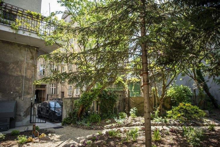 W poprzedniej edycji konkursu z dotacji skorzystała wspólnota mieszkaniowa z ul. Gdańskiej 77. Na sporej części podwórza powstał dzięki temu piękny ogród -  mat. prasowe 