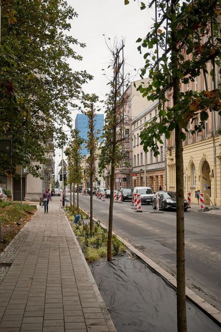 Na fragment ulicy Sienkiewicza wraca ruch dwukierunkowy , fot. Sebastian Glapiński / UMŁ   